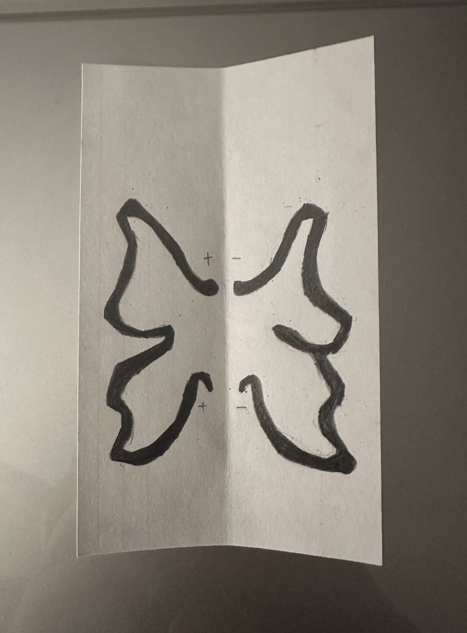 I used a 2B pencil to draw the outline of a butterfly with graphite and marked the positive and negative sides.
